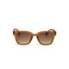 Okkia γυαλιά ηλίου Giovanni - Translucent Brown