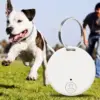 Mini Round Smart bluetooth GPS Tracker Για κατοικίδια, παιδιά, ηλικιωμένους, αποσκευές & πολύτιμα αντικείμενα pink