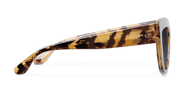 Meller Γυαλιά Ηλίου Karoo Tigris Carbon